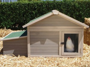build-a-chicken-coop-5